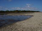 Inner (north) edge of shingle rampart and adjacent subtidal pool on the southern reef margin.